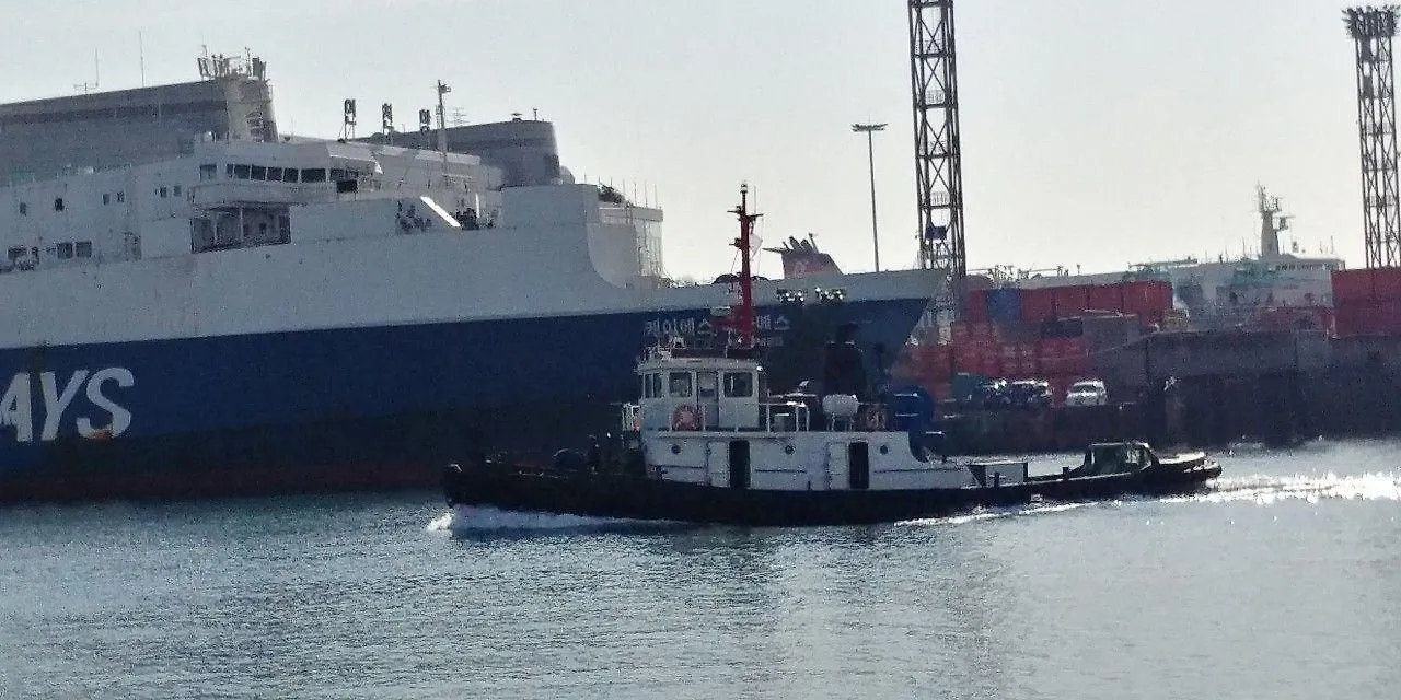 Sea Moon Tourist Hotel Incheon 3*,