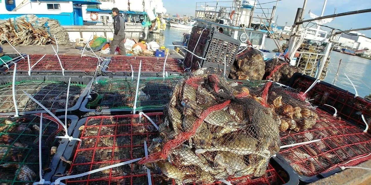 Sea Moon Tourist Hotel Incheon